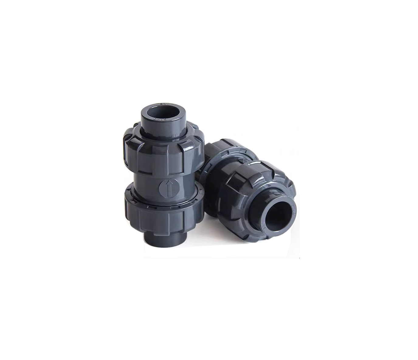 True Union Check Valve